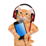 Cat With Music