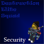 DES Security