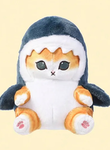 Shark cat studio