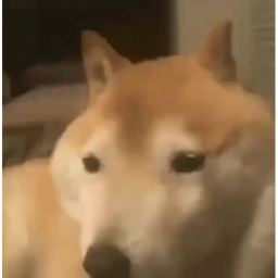 Brub