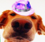 Fedora Dawgs!