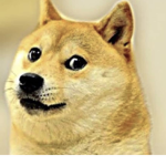 Dogge nations