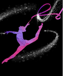 Dazzling Gymnastics academy! DGA