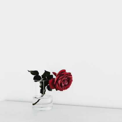 red aesthetic Roblox decal