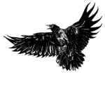 Crow's Perch