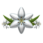 White Lily Tiara