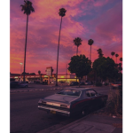 Car...community