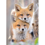 Foxs $