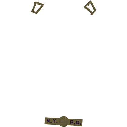 17th PCT Tie Brass thumbnail