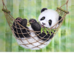 Panda_Love_Club
