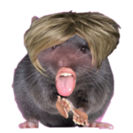 Ratty rats ratty rats