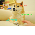 Doges and cats