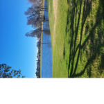 Mygroup_mikayla