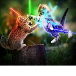 Meowing Empire!