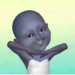 the pp group ok