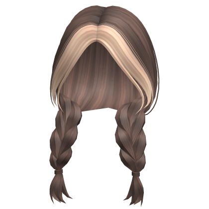Country Girl Blonde & Brown Braids