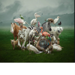 Animal should be loved!