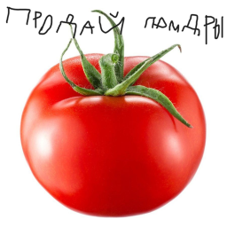 продай помидоры