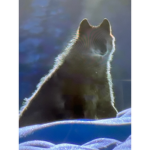 Nature wolfs