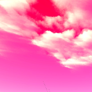 PINK LAND