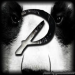 Kranky Pwnda
