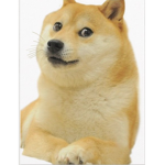 Doge unitw