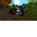 ER:LC Florida Roleplay Group