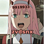 zvdsnx
