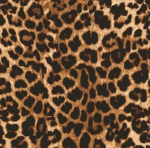 leopardlimo