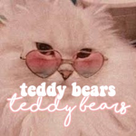 •Teddy Bear22•