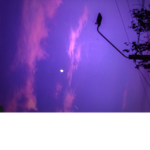 Gem_2343
