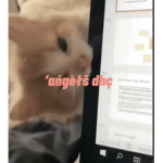 ‘ańgèłš dhç