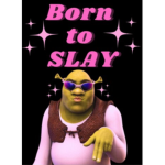 THE NUMER ONE SLAYYYS