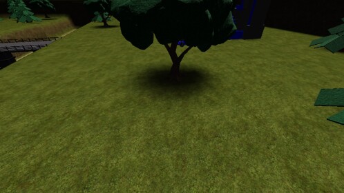 👑Capture the flag👑(AVATAR EDITOR)