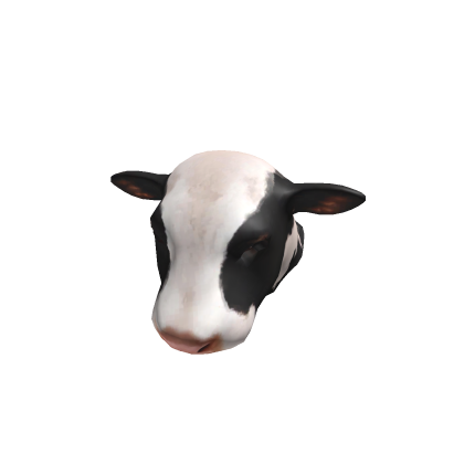 Head