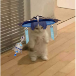 Star Cats <333