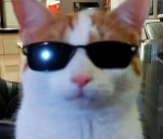 DARICRACK_ROBLOX,Sr_Masmello,valenao,12alissonsupe