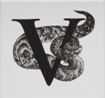 Va§h
