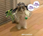 Bloody_Pirates
