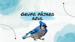 Grupo PAJARO AZUL