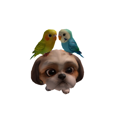 chico e casalzinho