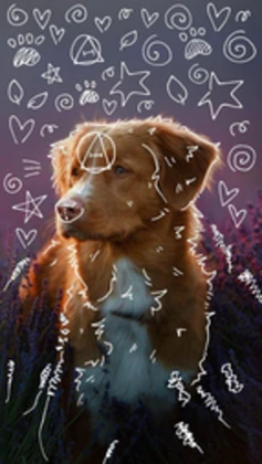 Group Icon