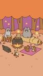Cats freunde