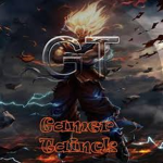 GT Followers