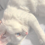 ⧼w๏nderꌚ⧽