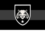 Nationalist Armed Forces Armored Division