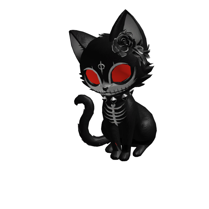 DARK CAT | HALLOWEEN 