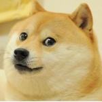 Official Doge United