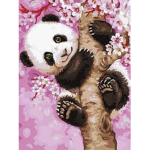 Pandzia