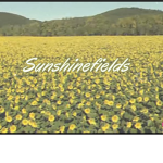 sunshinefields